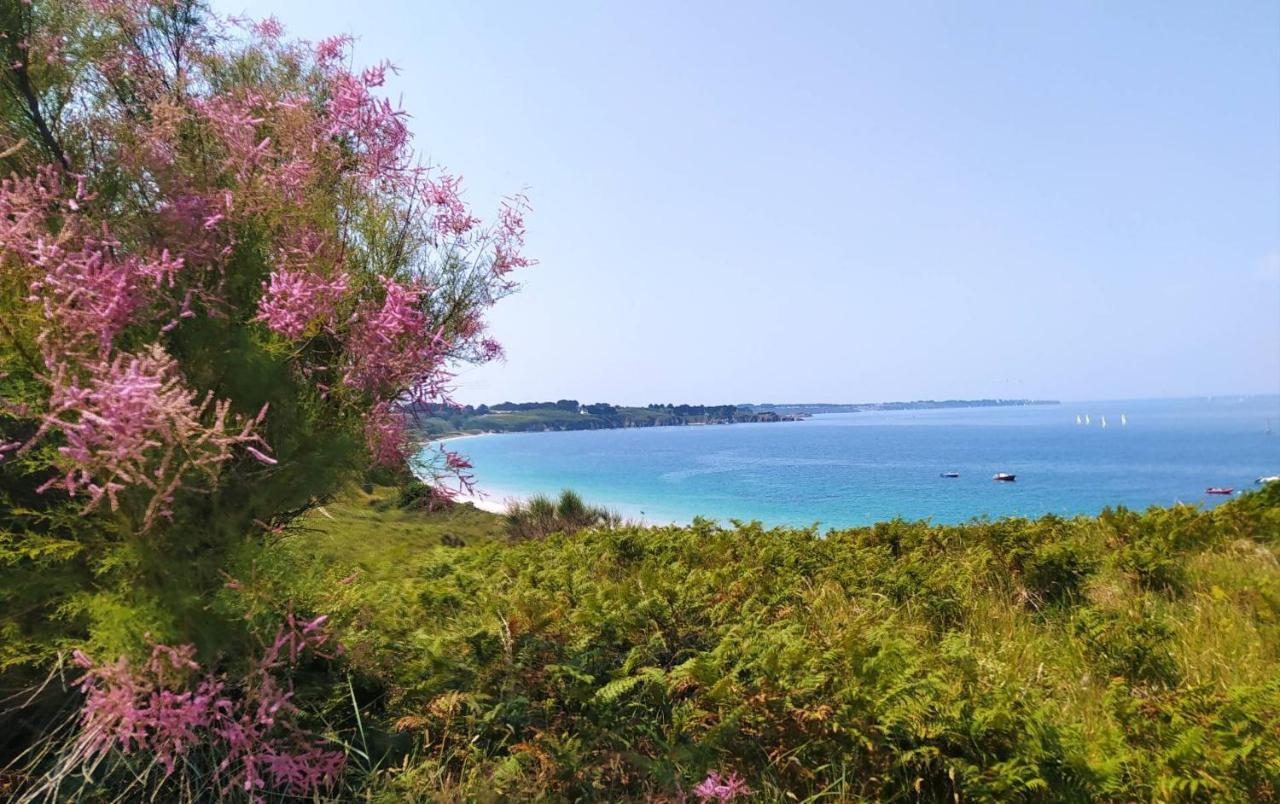 Les Maisons De Kerdavid'Ile - Votre Residence De Vacances A Belle Ile En Mer Locmaria Zewnętrze zdjęcie